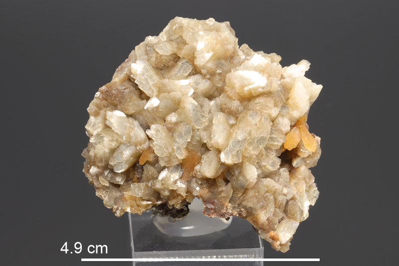 Heulandite (Nova Scotia)